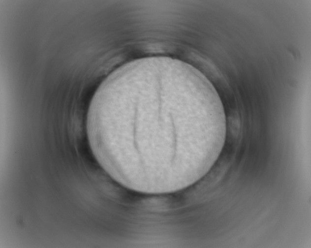 X0000113600422200910161910