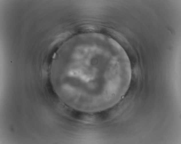 X0000113600423200910161910