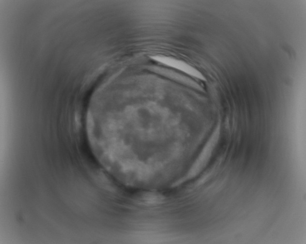 X0000113600424200910161910