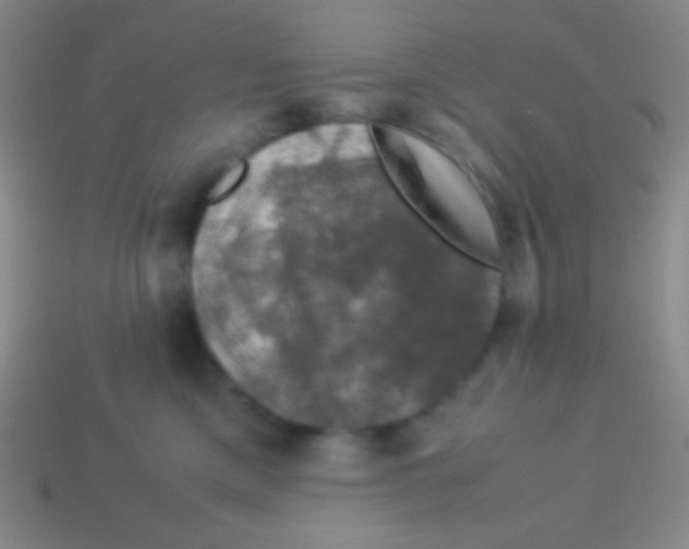 X0000113600425200910161910