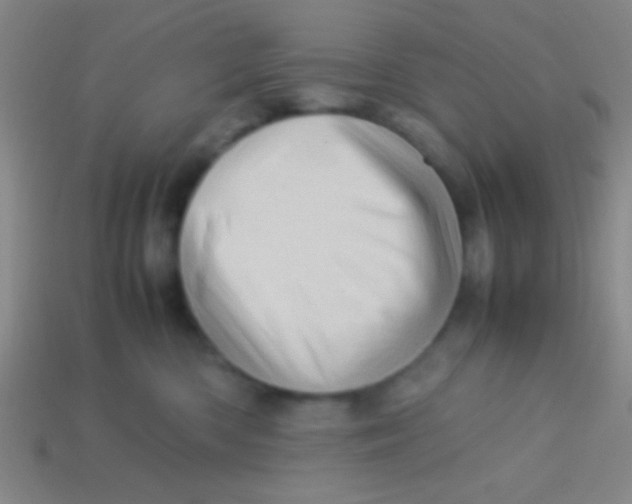 X0000113600426200910161910