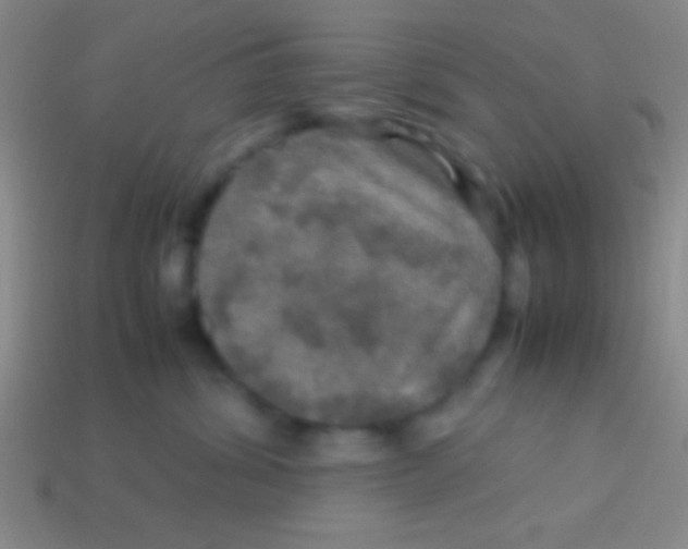 X0000113600428200910161910