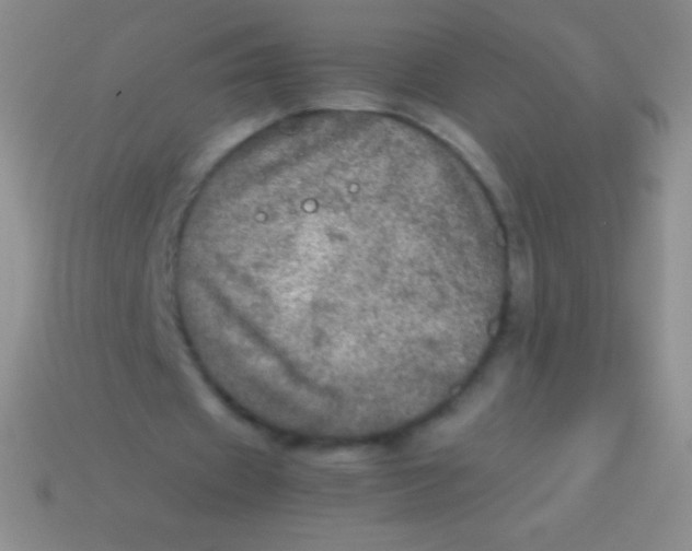 X0000113600433200910161909