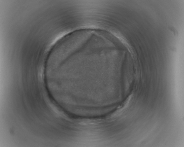 X0000113600434200910161909