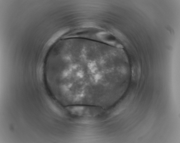 X0000113600436200910161909