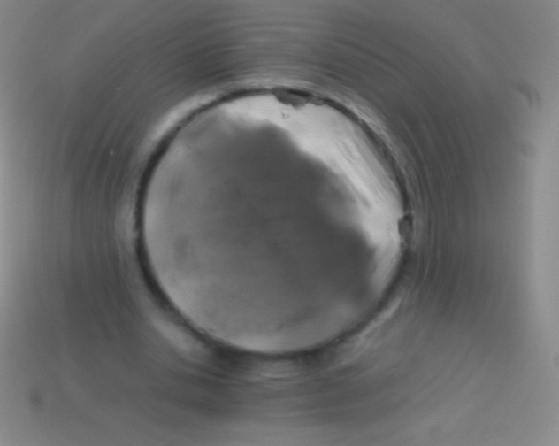 X0000113600438200910161909