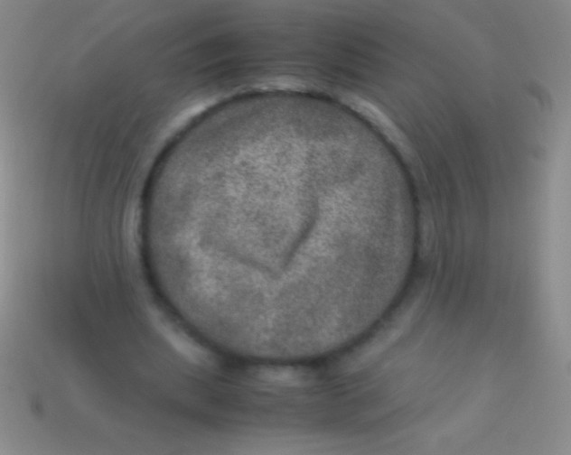 X0000113600439200910161909