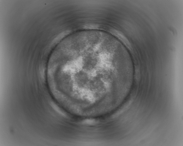 X0000113600441200910161909