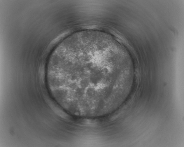 X0000113600442200910161909