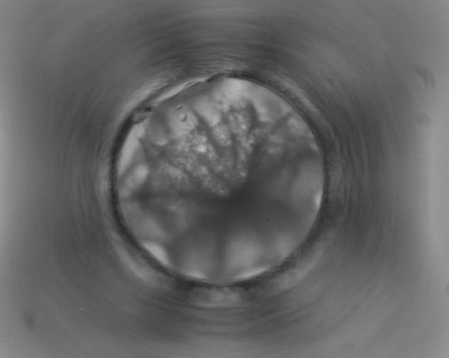 X0000113600443200910161909