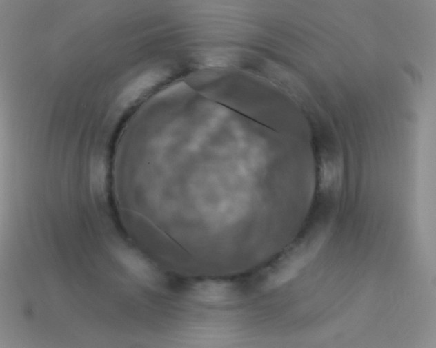 X0000113600444200910161909