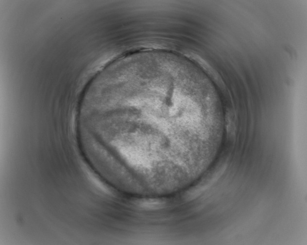 X0000113600445200910161909