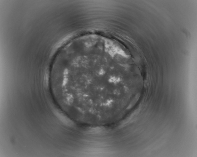 X0000113600446200910161909