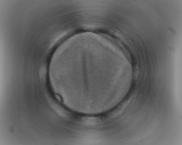 X0000113600448200910161909