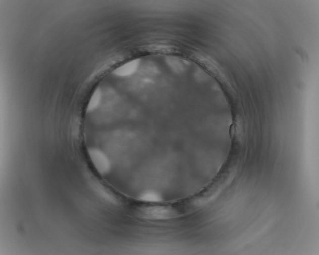 X0000113600449200910161909