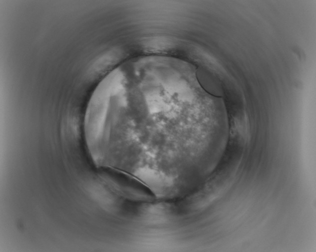 X0000113600452200910161909