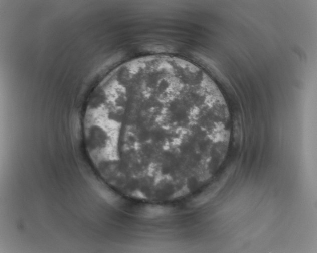 X0000113600453200910161909