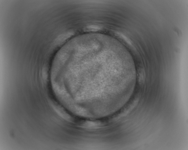 X0000113600455200910161909