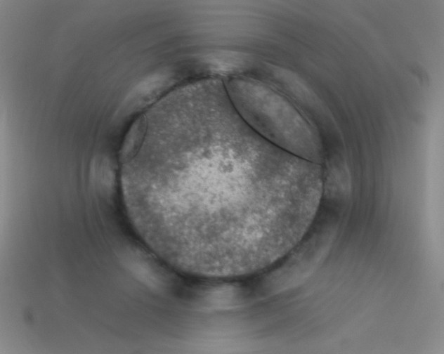 X0000113600456200910161909