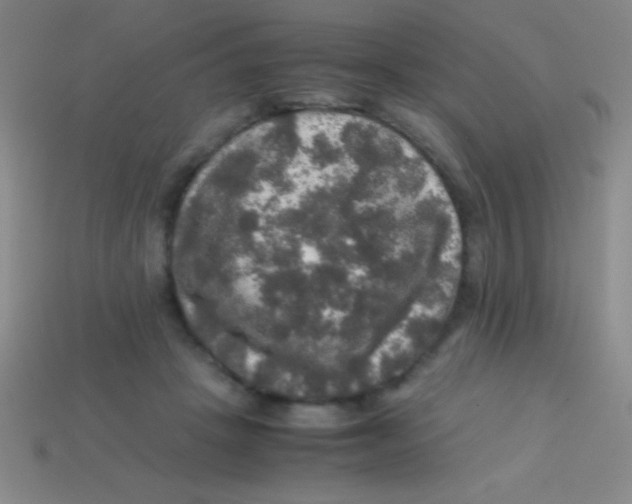 X0000113600457200910161909