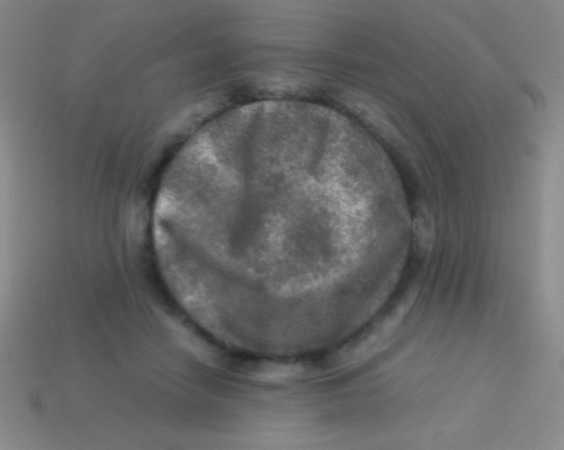 X0000113600458200910161909