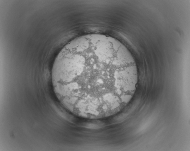 X0000113600459200910161909