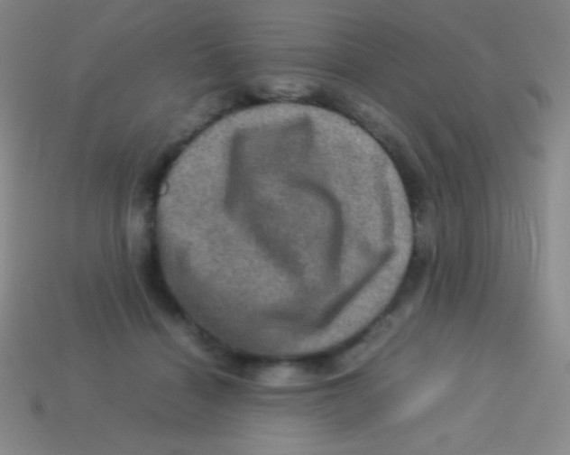 X0000113600460200910161909