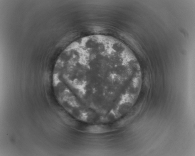 X0000113600461200910161909