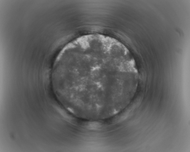 X0000113600462200910161910