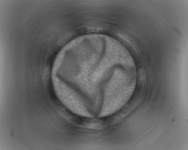 X0000113600463200910161910