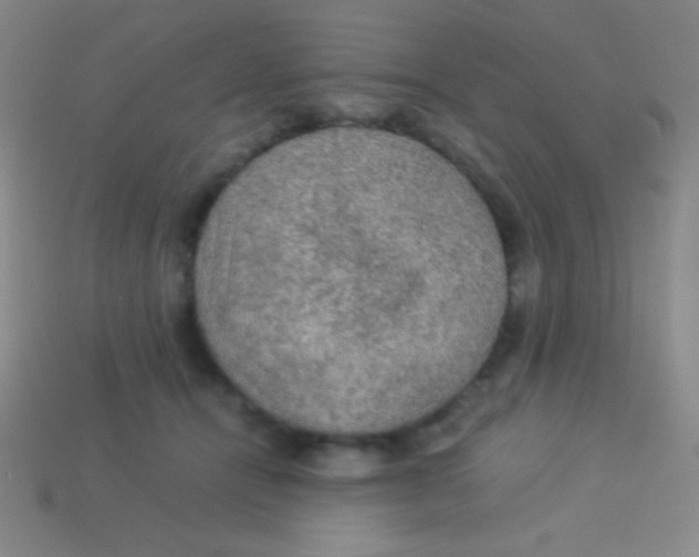 X0000113600464200910161910