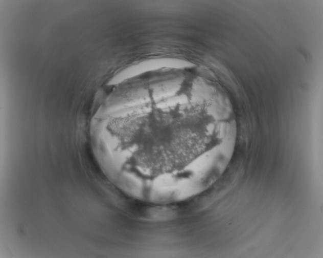 X0000113600465200910161910