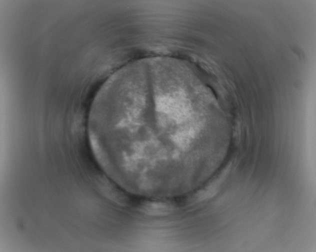 X0000113600466200910161910