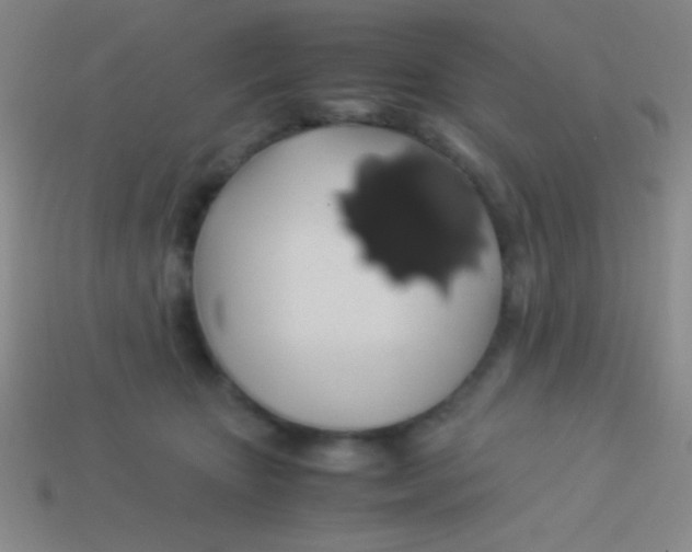 X0000113600467200910161910