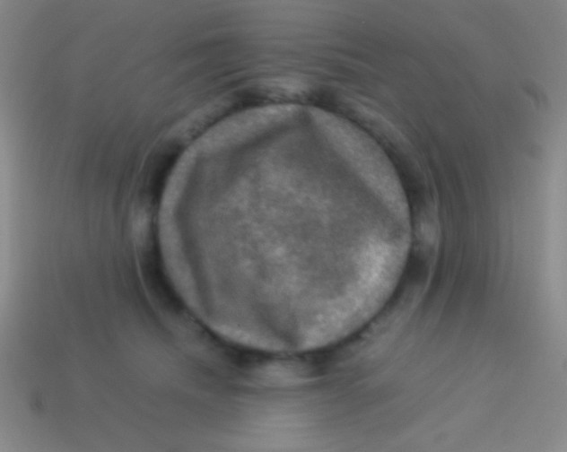 X0000113600468200910161910