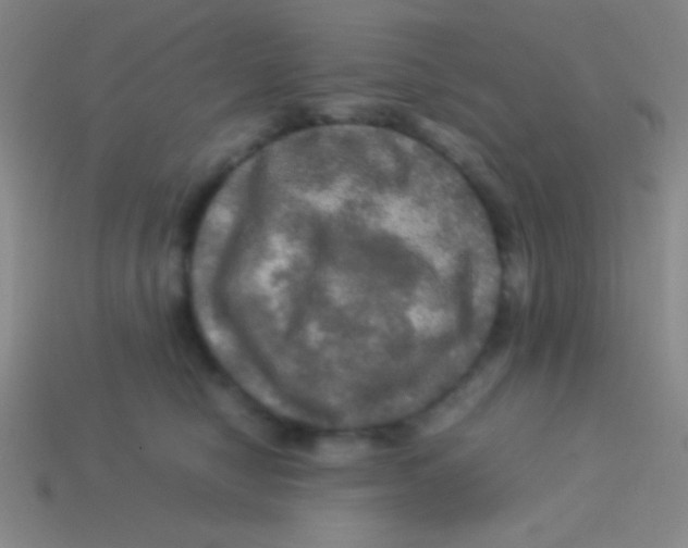 X0000113600470200910161910