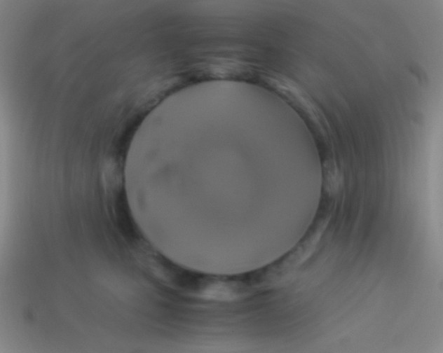 X0000113600471200910161910