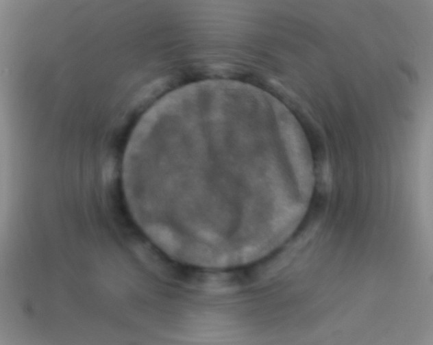 X0000113600472200910161910