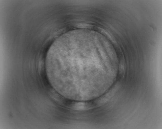 X0000113600473200910161910