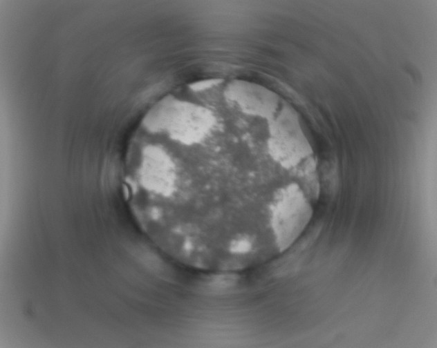 X0000113600474200910161910