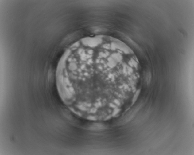 X0000113600475200910161910