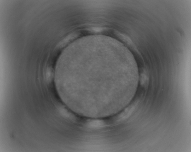 X0000113600476200910161910