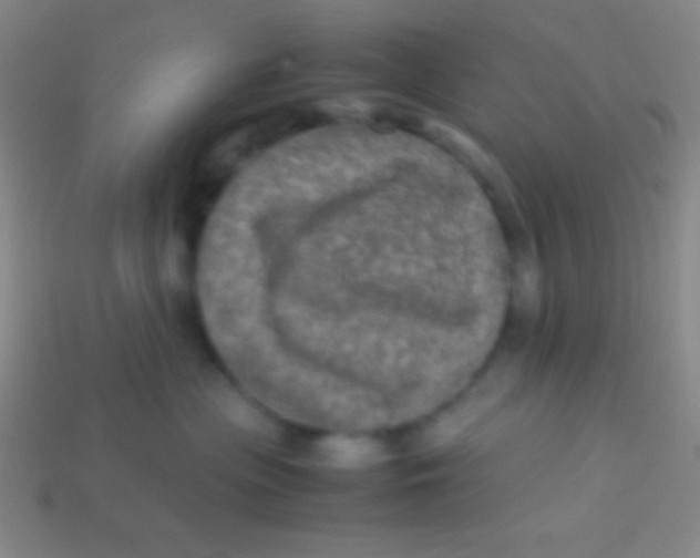 X0000113600477200910161910