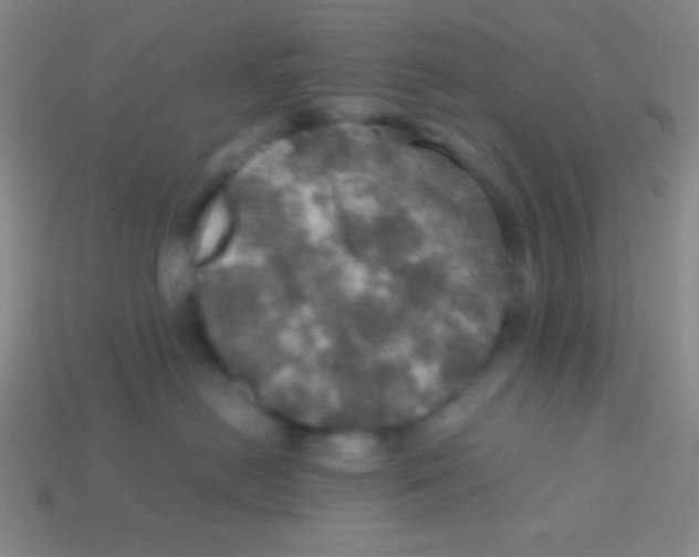 X0000113600478200910161910