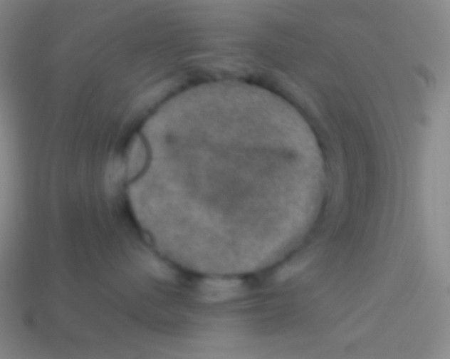 X0000113600480200910161910