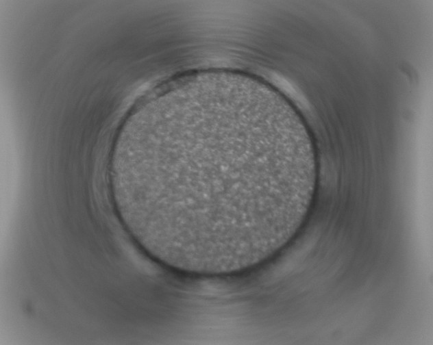 X0000113600481200910161909