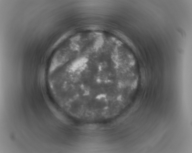 X0000113600482200910161909