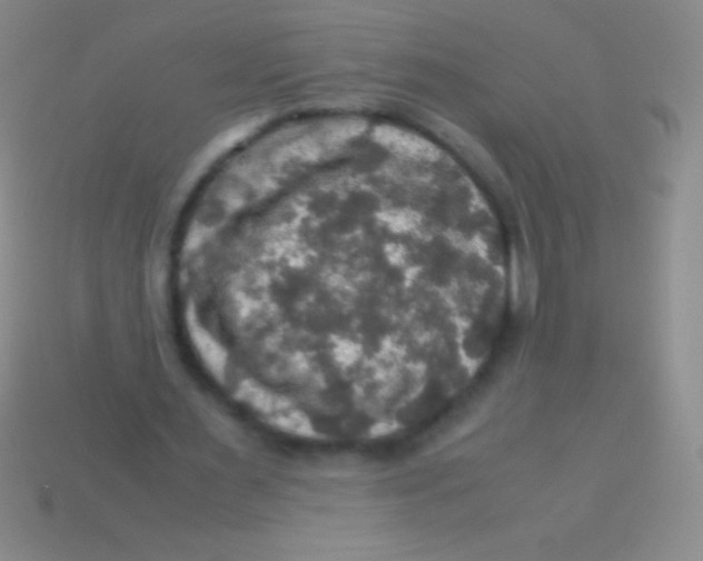 X0000113600483200910161909