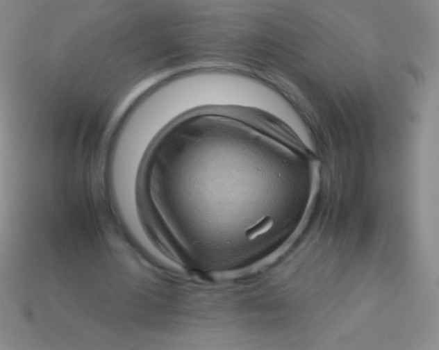 X0000113600484200910161909