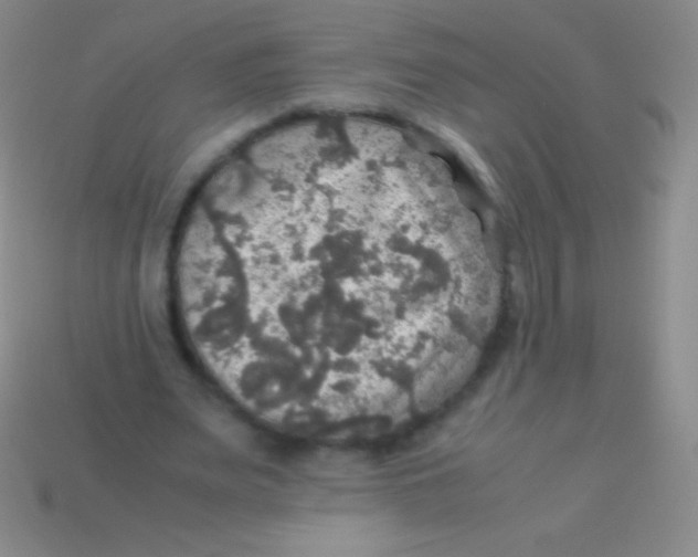 X0000113600487200910161909